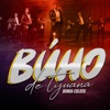 Banda Coloso - El Buho