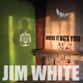 Jim White - Infinite Mind