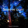Bulbs of Light - Single