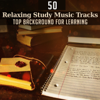 50 Relaxing Study Music Tracks: Top Background for Learning – Concentration & Improve Memory, Brain Exercises to Focus, Homework Studying for Beautiful Mind - Music to Relax in Free Time