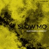 Slow Mo Electronica Ambient, Vol. 1