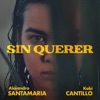 Sin Querer by Alejandro Santamaria, Kobi Cantillo iTunes Track 1