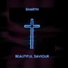 Beautiful Saviour - Single