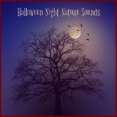 Halloween Night Nature Sounds artwork