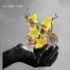 The Other Lover - Single album lyrics, reviews, download