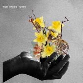 Little Dragon - The Other Lover