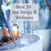 Best 30 Spa Songs & Wellness - Nature Ambient Chill & Oriental Lounge Wellness Music for Spa artwork