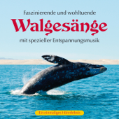 Walgesänge mit spezieller Entspannungsmusik - Kings of Nature