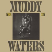 Muddy Waters - Forever Lonely