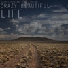 Crazy Beautiful Life - EP