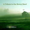 A Tribute To Zac Brown Band - EP