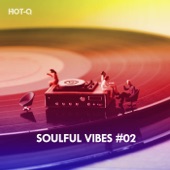 Soulful Vibes, Vol. 02 artwork