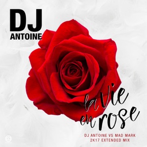 Dj.Antoine - La Vie En Rose - Line Dance Choreograf/in