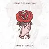 Meant To Love You (feat. ROUXN) song lyrics