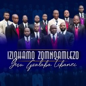 Yesu Gxalaba Libanzi artwork