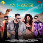 YA HABIBI artwork