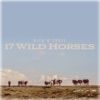 17 Wild Horses - Single