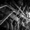 Escuchas : Calibraciones Aparato Raro