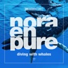 Diving with Whales - Single