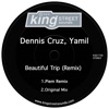 Beautiful Trip (Remix) - Single