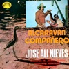 Alcaraván Compañero