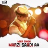 Saadi Marzi - Single, 2019