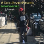 18 Karat Reggae Presents: Boom Viniyard Chronicles artwork