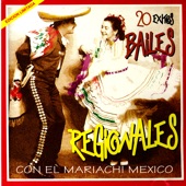 20 Exitos Bailes Regionales artwork