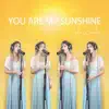 You Are My Sunshine - Single album lyrics, reviews, download