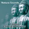 Nature Sounds – Relaxation & Tibetan Chakra Meditation, Healing Massage and Spa, Yoga Music Sound Therapy for Chakra Balancing, Baby Deep Sleep, Studying Music album lyrics, reviews, download
