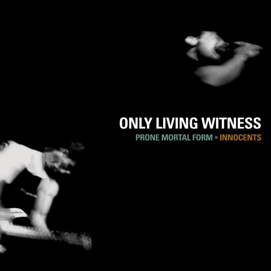 Cover artwork for Some Will Never Know