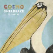 Cosmo Sheldrake - Tardigrade Song