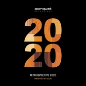 Parquet Recordings  Retrospective 2020 artwork