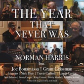 The Year That Never Was (feat. Joe Bonamassa, Grant Geissman, Lemmo, Nick Dias & Stanley Behrens) artwork