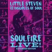Soulfire Live! (Expanded Edition) [feat. Little Steven & The Disciples of Soul] artwork