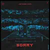 Sorry - Single album lyrics, reviews, download