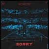 Alan Walker - Sorry