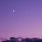 Purple Sky artwork