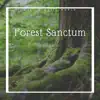 Forest Sanctum - Celtic World Music album lyrics, reviews, download