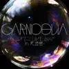 GARNiDELiA 〜リスアニ!LIVE 2017 in 武道館〜 - Single album lyrics, reviews, download