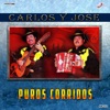 Carlos y José - Alma Delia