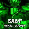 Salt (Metal Version) [feat. Steffi Stuber & Tobias Derer] - Single album lyrics, reviews, download
