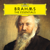 Various Artists - Brahms: The Essentials artwork