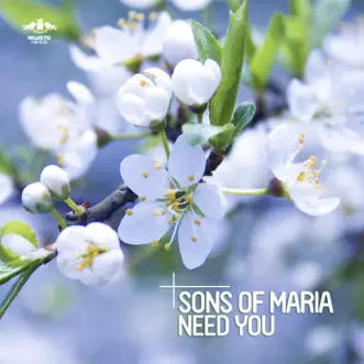 Need You (Radio Mix) by Sons of Maria song reviws