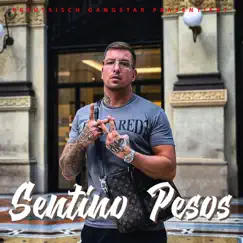 Pesos (feat. Preussisch Gangstar) Song Lyrics