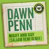 Stream & download Night and Day (Salaam Remi Remix) - Single