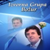 Izvorna Grupa Bozur