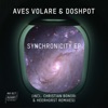 Synchronicity - Single