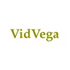 VidVega - Single album lyrics, reviews, download