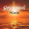 Stream & download Promise (feat. Sash_S) - Single